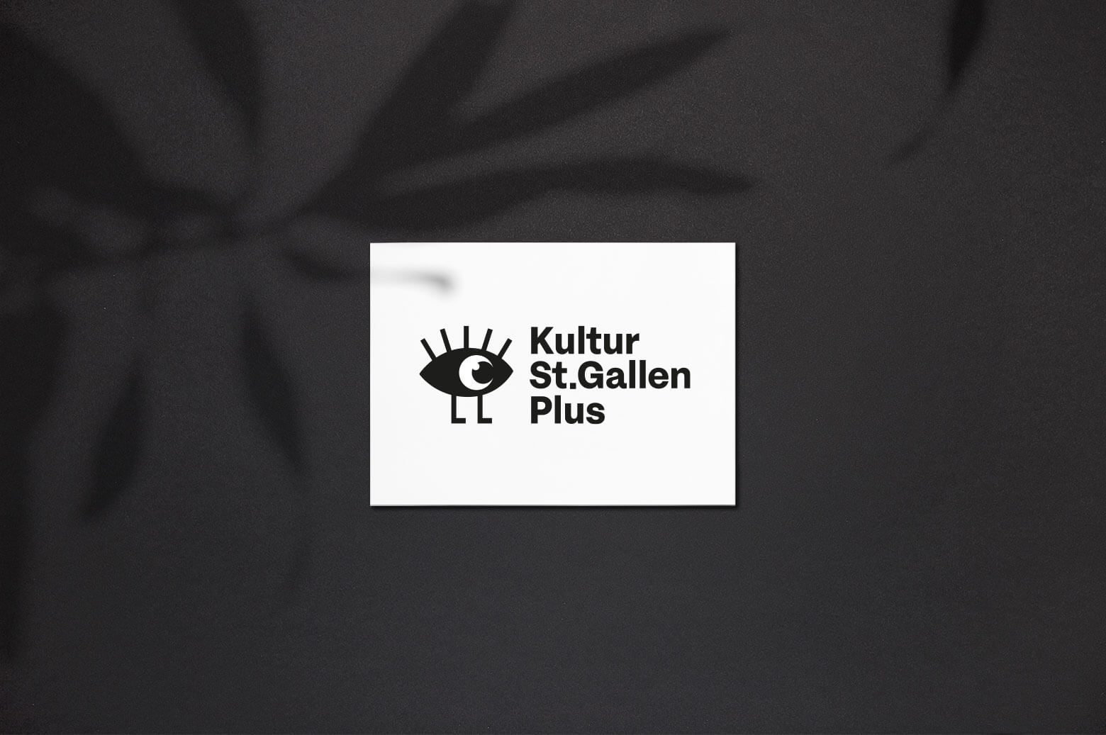 Kultur St.Gallen Plus Logo