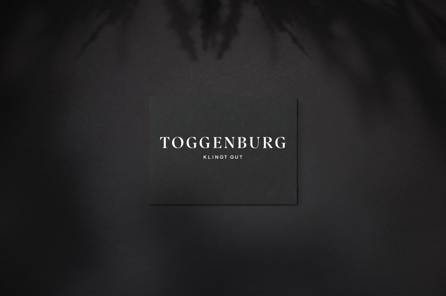 Toggenburg Tourismus – Logo und Merch